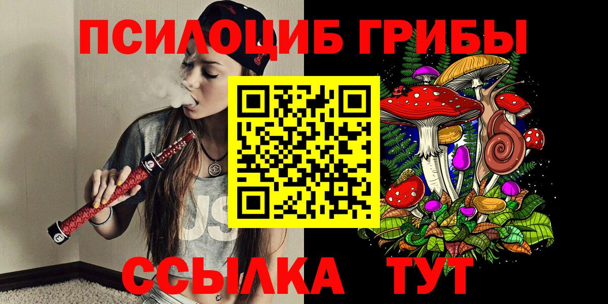 Галлюциногенные грибы Psilocybine cubensis Коркино