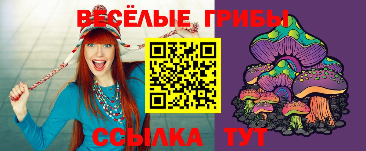Псилоцибиновые грибы Psilocybe  Вход с VPN  Галлюциногенные грибы Cubensis  Коркино 